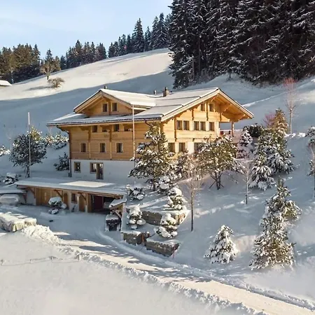 Beautiful Modern In The Gstaad Region